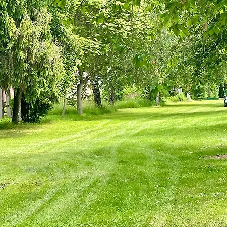 Rozsa * Fadd-Dombori