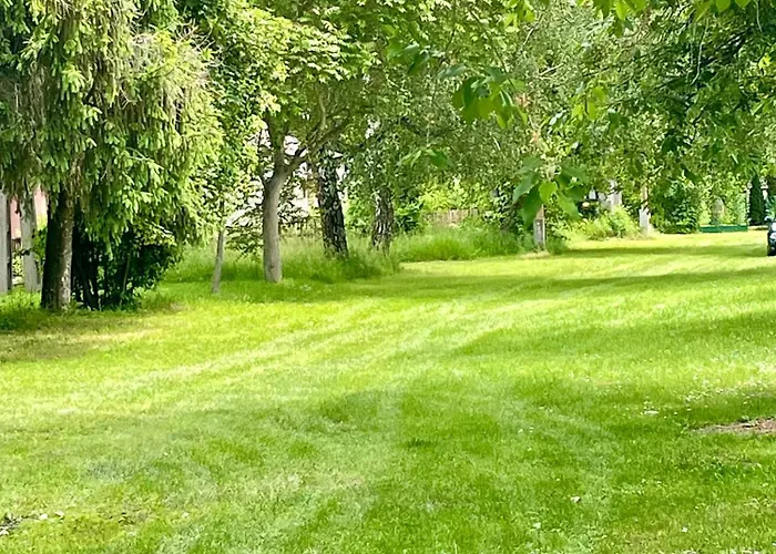 Rózsa * Fadd-Dombori